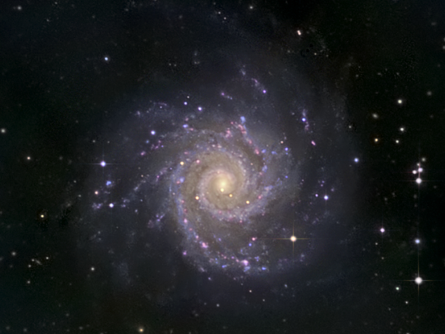 A view of M74