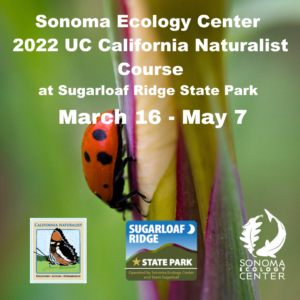 Spring 2022 Sonoma Ecology Center California Naturalist Program @ Sugarloaf Ridge State Park