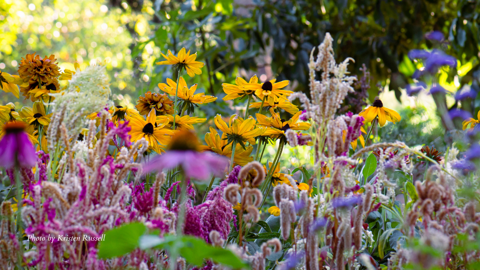 Spring-Gardening-Workshop-YMOM49